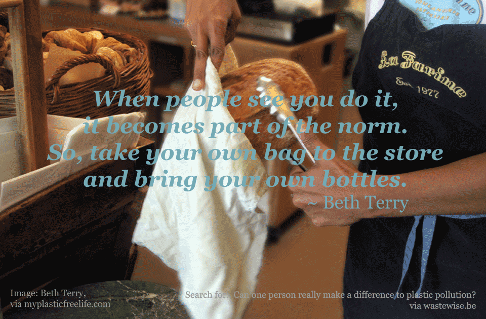 When people see you do it, it becomes part of the norm. So, take your own bag to the store and bring your own bottles. - Beth Terry